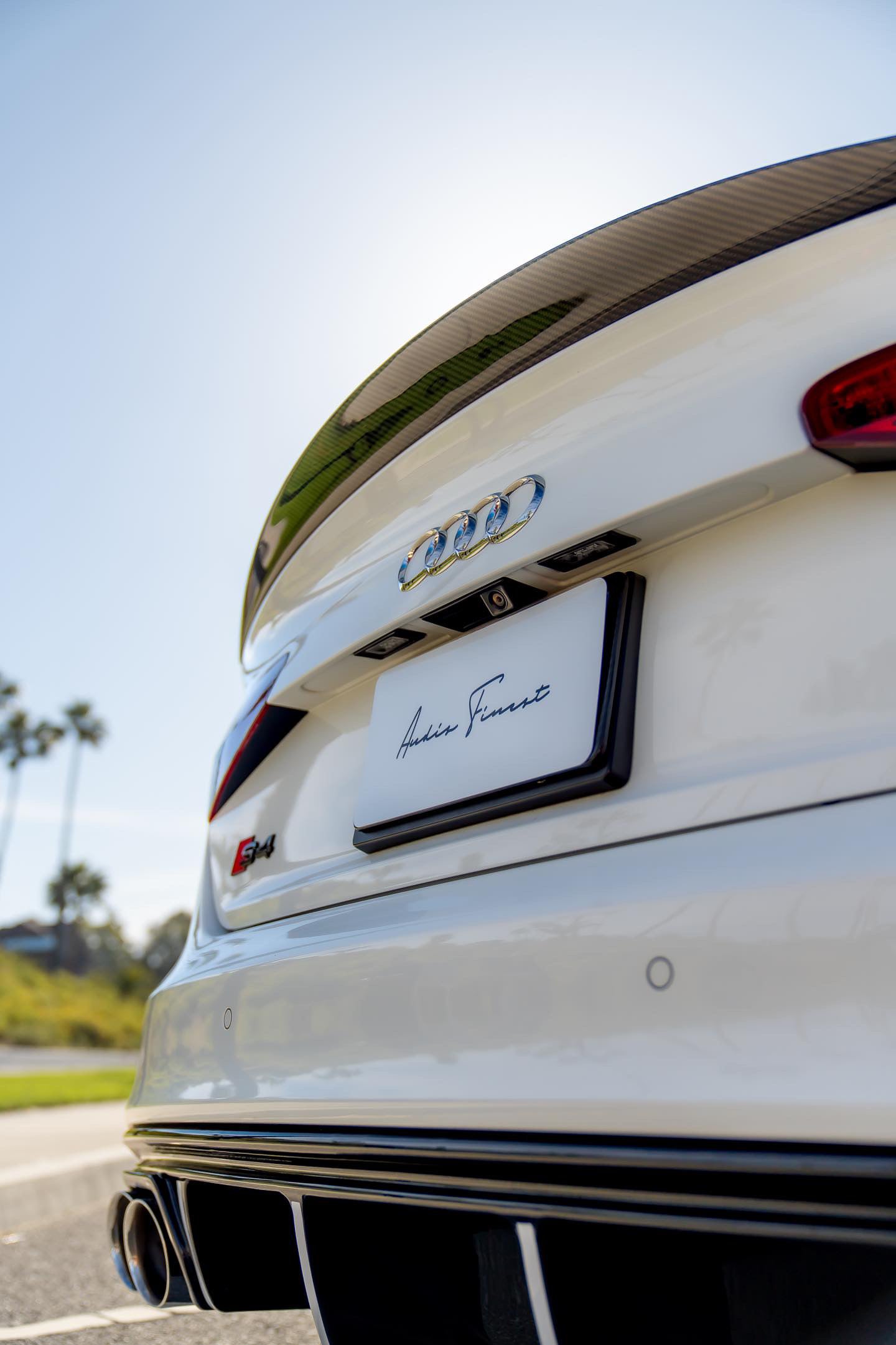 Audis Finest Magnetic Plates