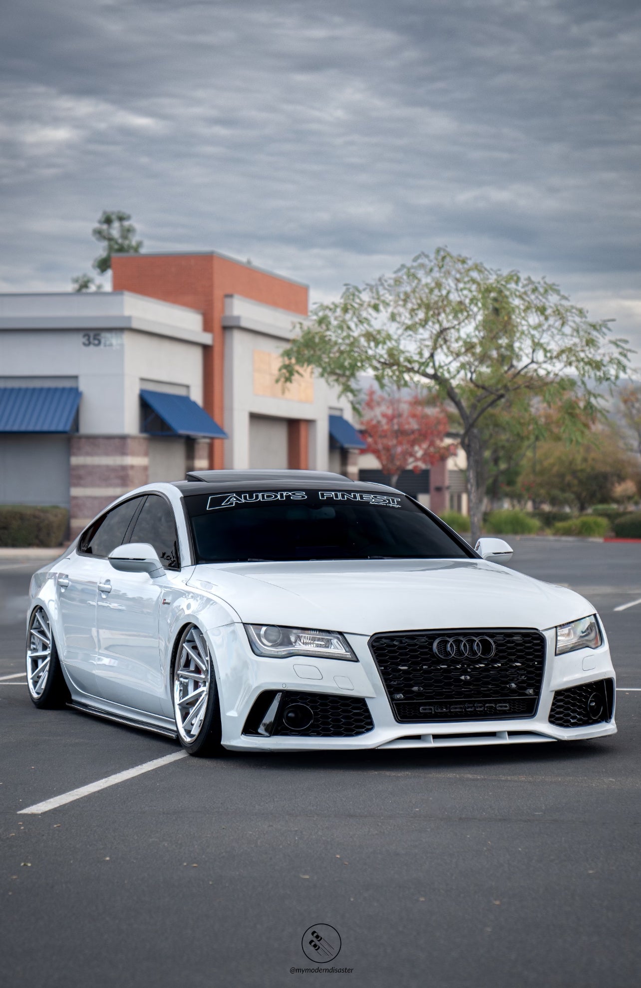 Windshield Visor
