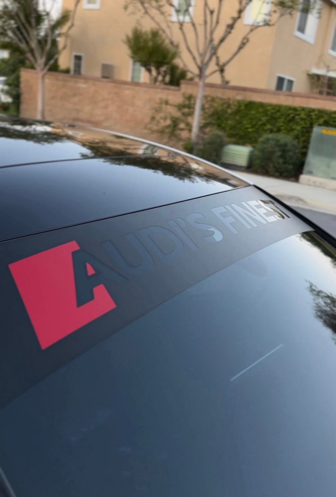 Windshield Visor